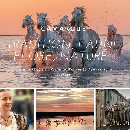 Apartmán Etoile De * Wifi * Parking * Clim * * *